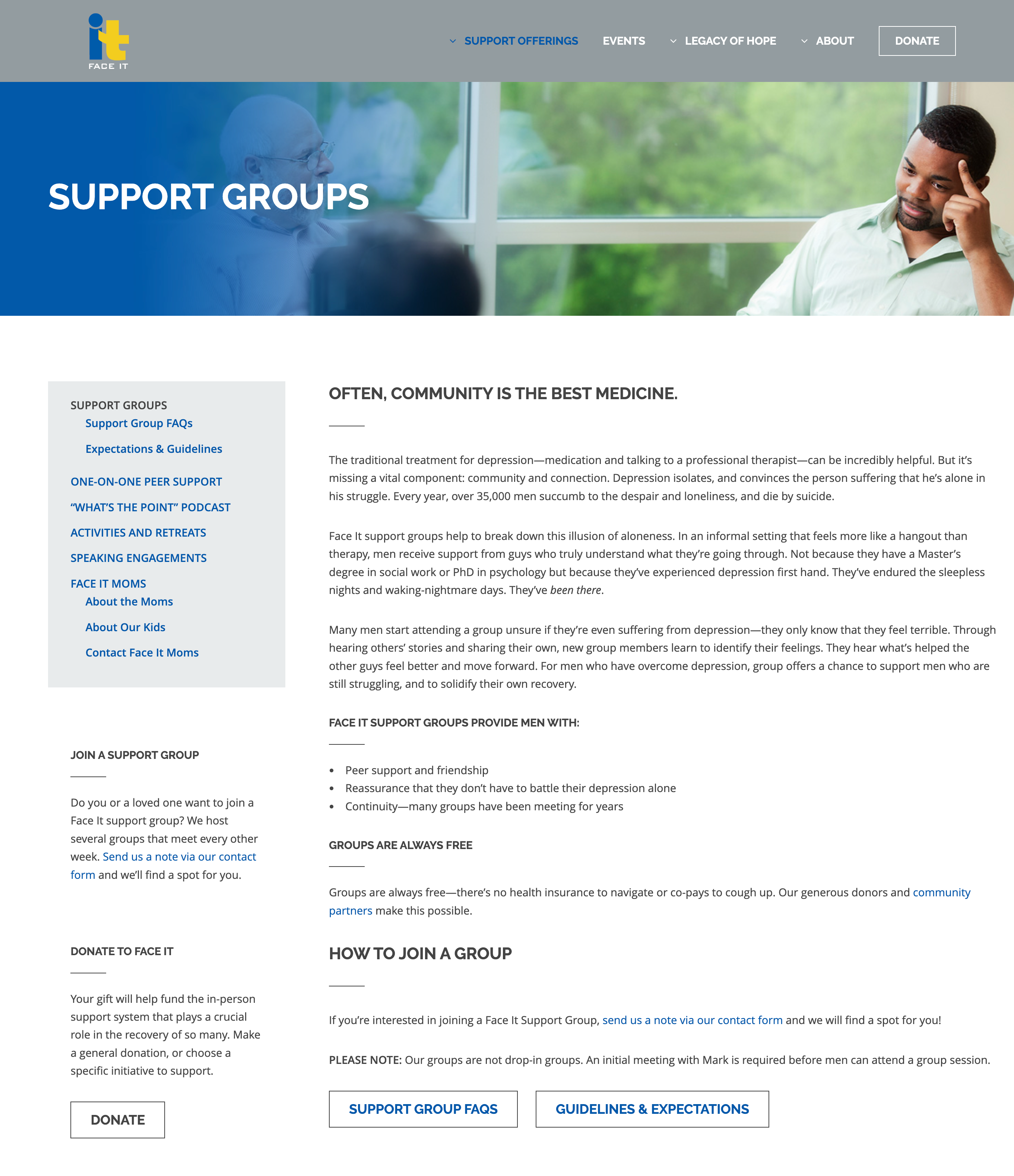 Face It Foundation web content sample